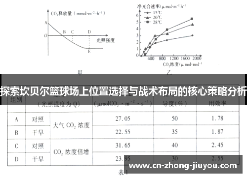 探索坎贝尔篮球场上位置选择与战术布局的核心策略分析