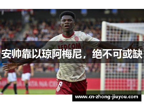 安帅靠以琼阿梅尼，绝不可或缺